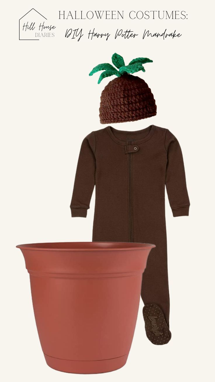 a baby's brown outfit with a pineapple hat on it and a potted plant