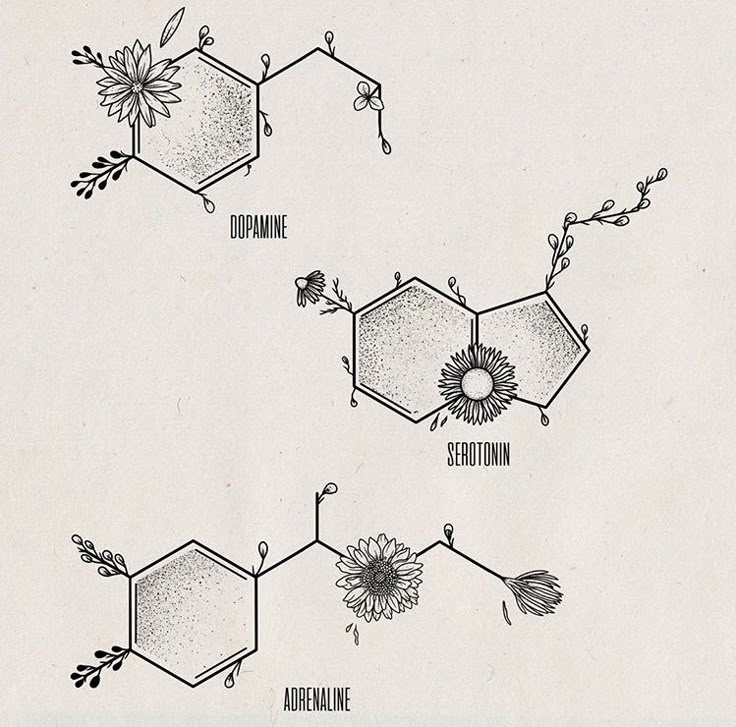 the diagram shows different types of flowers and their names in black ink on white paper