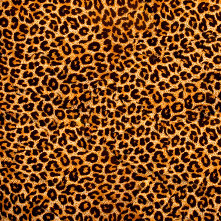 a brown and black animal print area rug