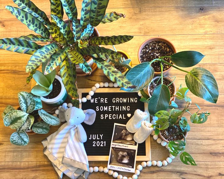 a wooden table topped with potted plants next to a sign that says we're growing something special