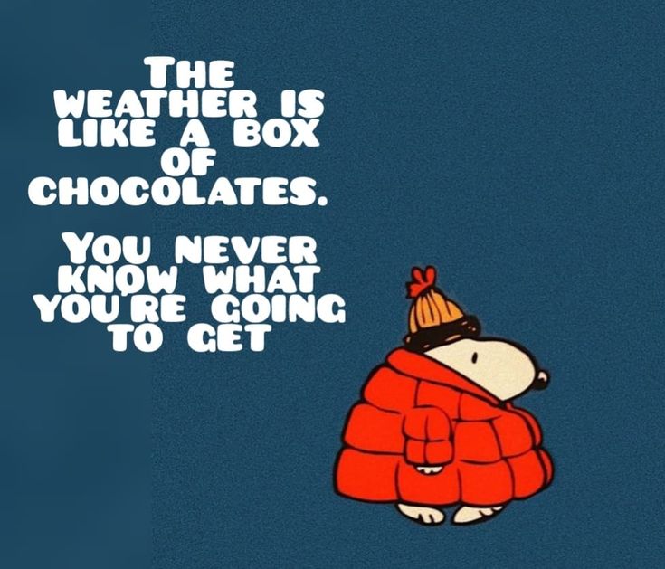 a cartoon bear wearing a red jacket with a hat on his head and the words, the weather is like a box of chocolates you never know what you're going to get