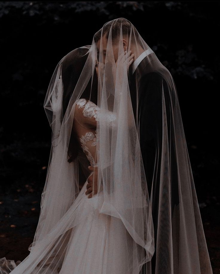 a bride and groom kissing under a veil