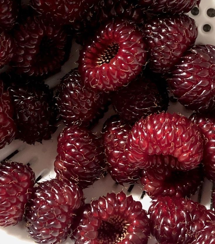 some raspberries are sitting in a white bowl