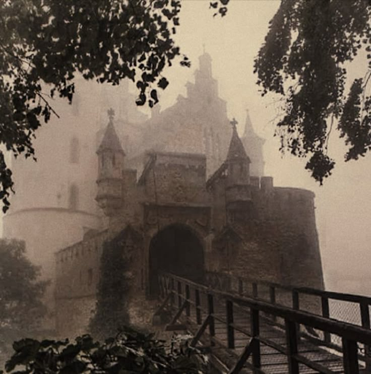 an old castle in the fog with stairs leading up to it and trees on either side