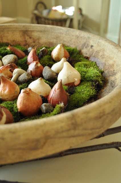 a wooden bowl filled with lots of different types of mushrooms and moss on top of a table