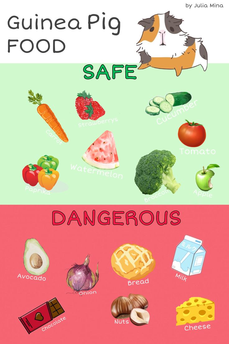 the poster shows different types of food