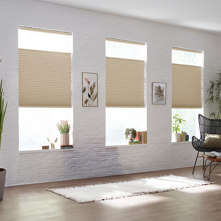 a living room with three windows and a rug in front of the window that has blinds on it