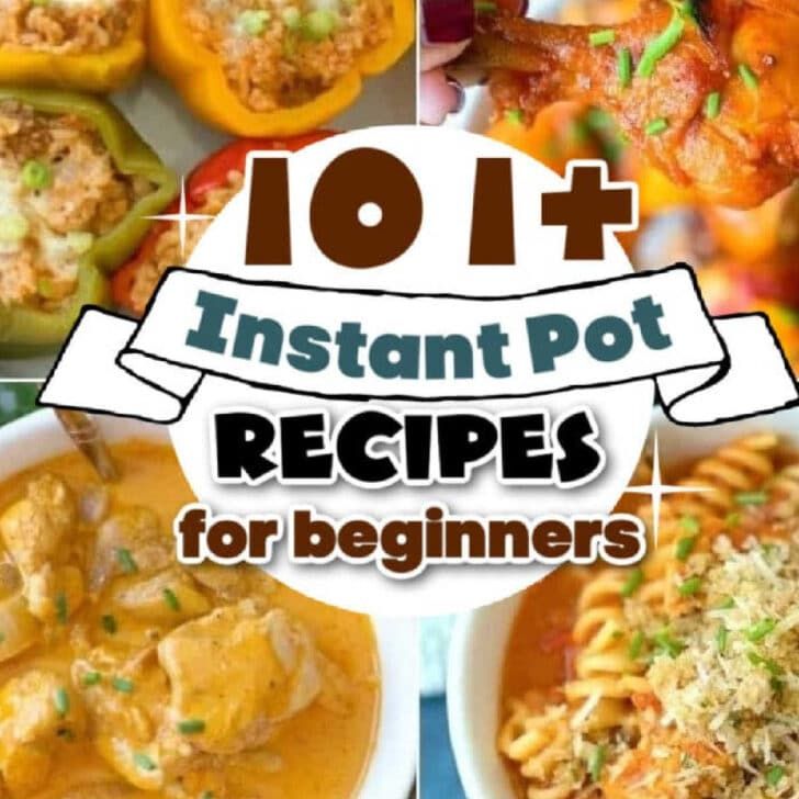 the top ten instant pot recipes for beginners