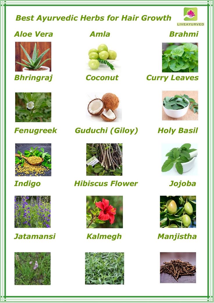 Best ayurvedic herbs for hair growth, #Ayurveda hair growth, #list of ayurvedic herbs for hair growth, #herbs for hair problems Ayurveda Hair Growth, Ayurvedic Recipes For Hair Growth, Ayurvedic Herbs For Hair Growth, Ayurvedic Recipes For Hair, Ayurvedic Herbs For Hair, Hair Growth Herbs, Hair Manifestation, Herb Witch, Ayurveda Hair Care