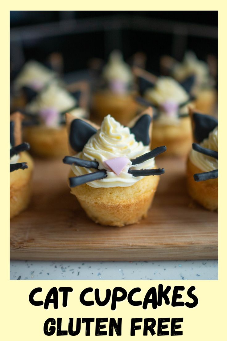 cat cupcakes with cream cheese frosting and chocolate sprinkles on top