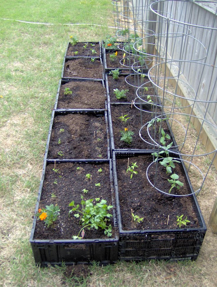 the garden is ready to be planted and put in their own containers for later use