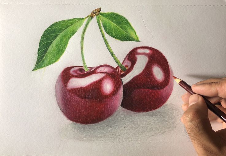 someone is drawing two cherries with colored pencils