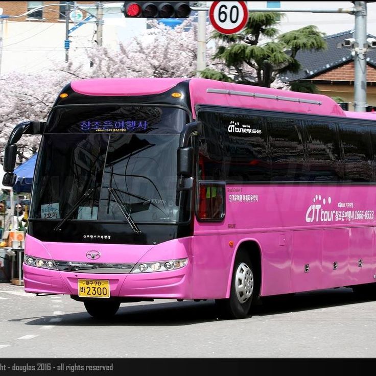 a pink bus is driving down the street