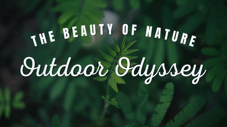 Outdoor Odyssey | Journey Filled with Adventures and Explorations