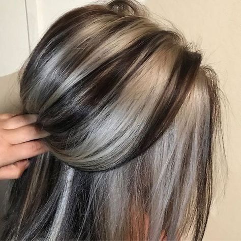 Skunk Hair, Funky Hair, Woman Hairstyles, Hair Streaks, Long Gray Hair, High Maintenance, Winter Hair Color, Hair Color Highlights, Brown Blonde Hair