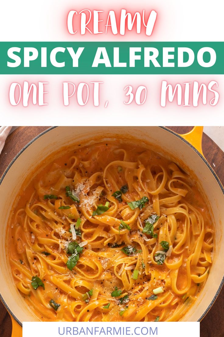 creamy spicy alfredo one pot, 30 mins is the perfect meal for busy nights