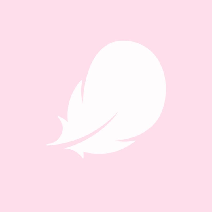 a white feather on a pink background