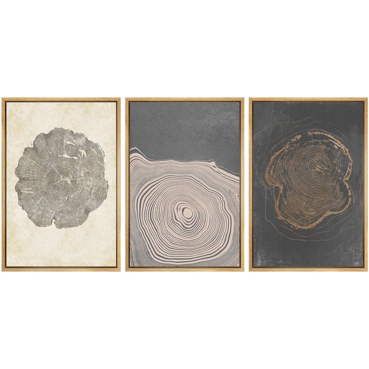 three framed art pieces with different shapes and sizes, each featuring an abstract tree trunk