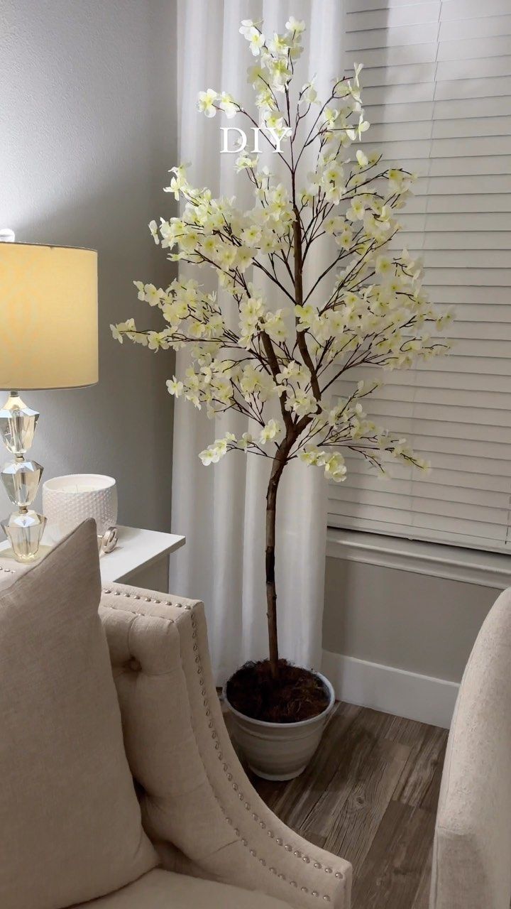 a living room with a couch, chair and tree in the corner on the floor