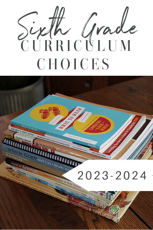 a stack of books sitting on top of a wooden table with the title sixth grade curriculum choices