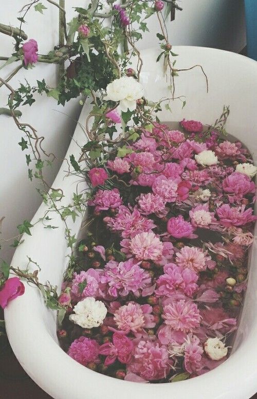 pink and white flowers in a bathtub with vines growing out of the side wall