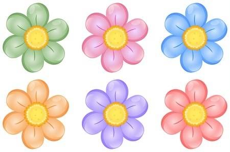 six different colored flowers on a white background