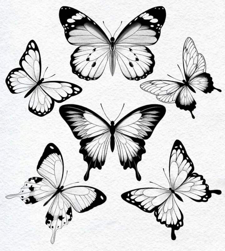 six butterflies flying in the air with black and white markings on their wings, all facing different directions