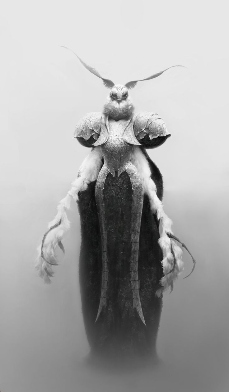 a black and white photo of a strange insect