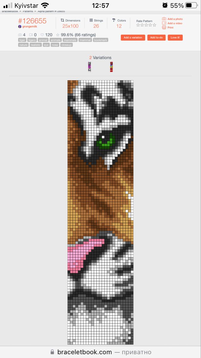 a cross stitch bookmark with an image of a tiger's face