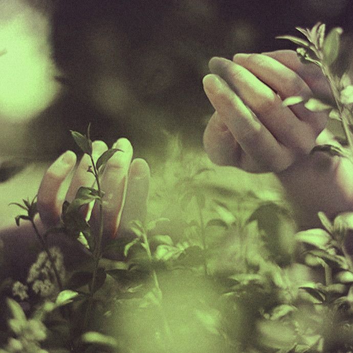 two hands reaching for something in the air above some leaves and plants, with green light shining on them