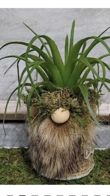 a potted plant with moss growing out of it's face on the ground