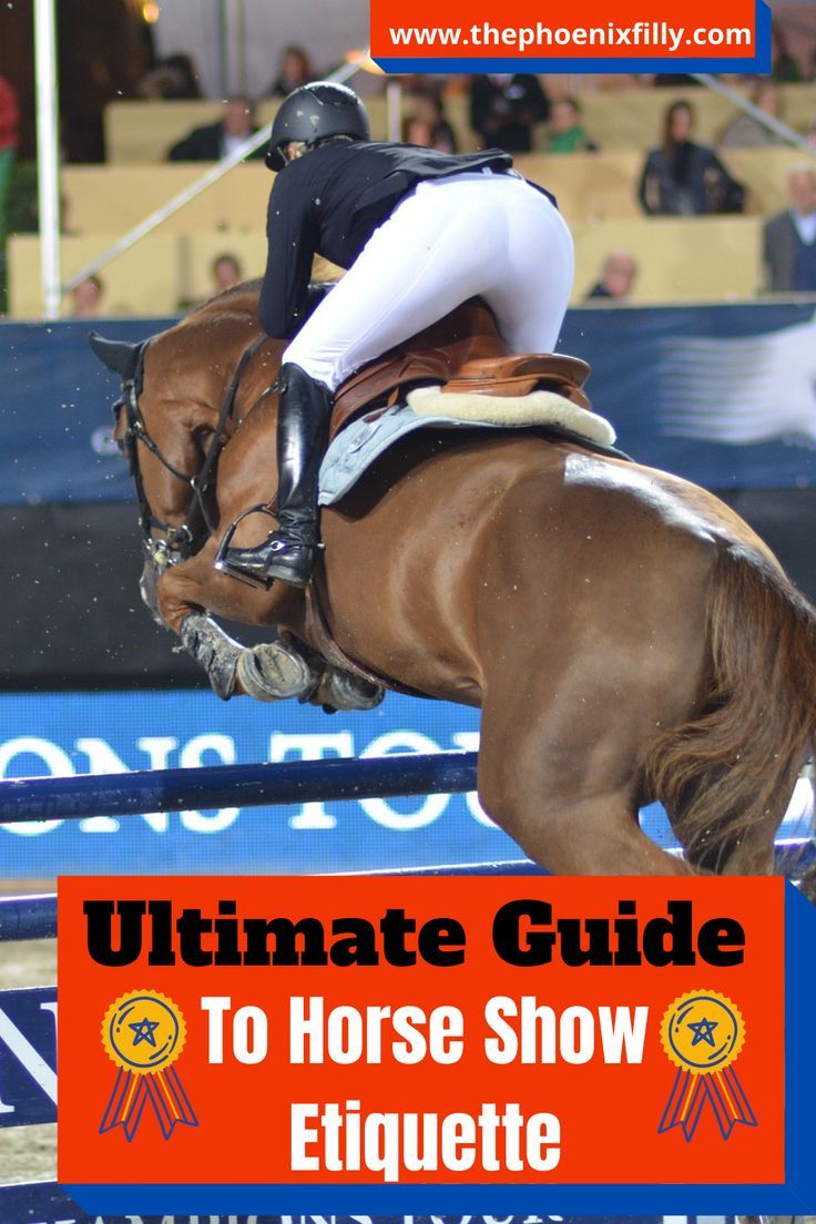 the ultimate guide to horse show etiquette