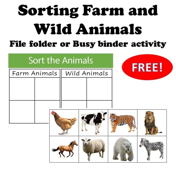 a poster with animals and birds on it that says sorting farm and wild animals file folder or busy binder activity