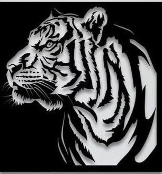 a black and white tiger on a black background