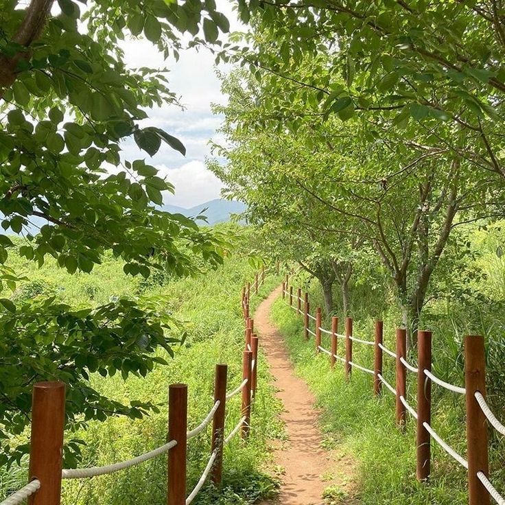 a path that is surrounded by trees and grass