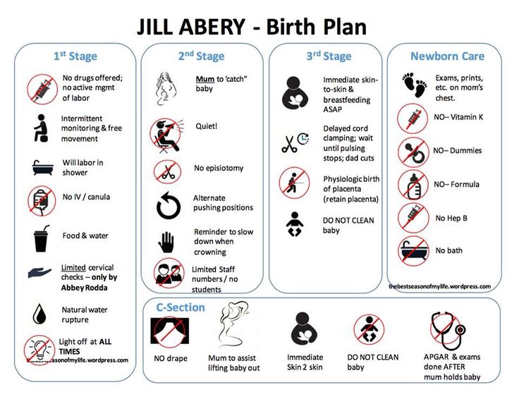 a diagram showing the birth plan for children