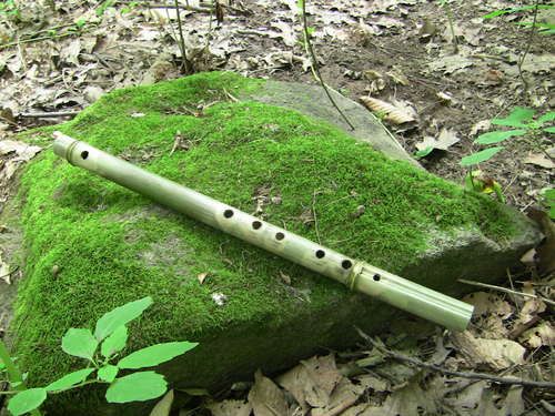 a flute laying on top of a moss covered rock