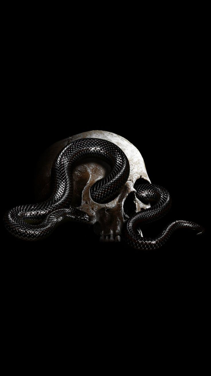 a skull with a snake wrapped around it's neck in the middle of a black background