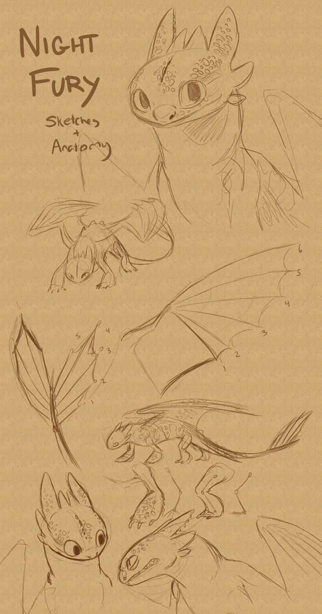 the sketches for night fury and other monsters