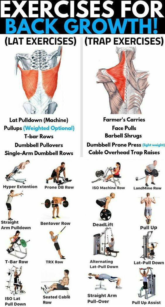 Some exercises for back growth Traps Workout, Fitness Studio Training, Exercises For Back, Gym Antrenmanları, Back Workouts, Weight Training Workouts, Training Workouts, Workout Chart, Back And Biceps