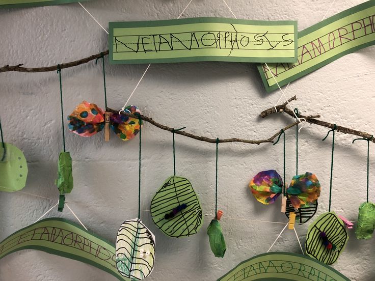 a group of paper decorations hanging from a wall next to a branch with writing on it