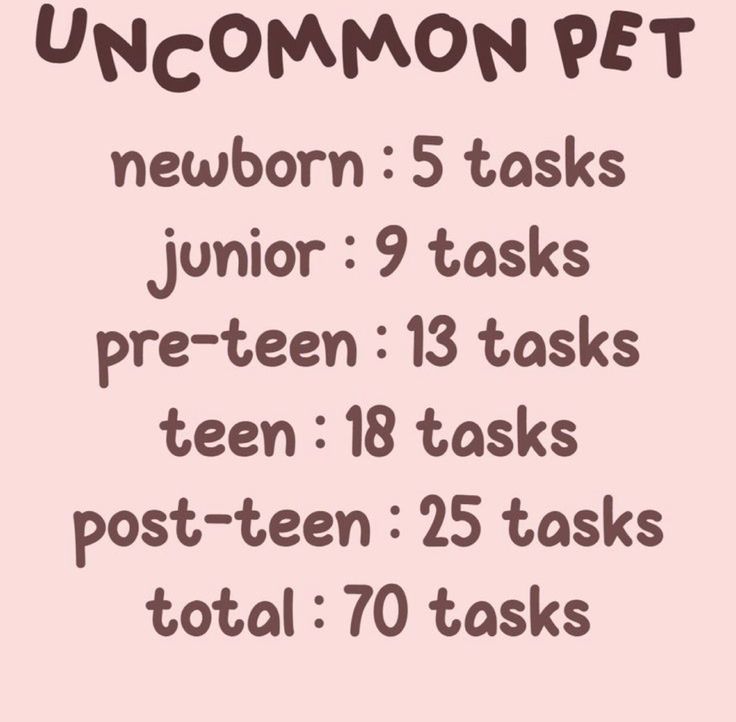 a pink poster with the words uncommon pet written in black on it and an image of a