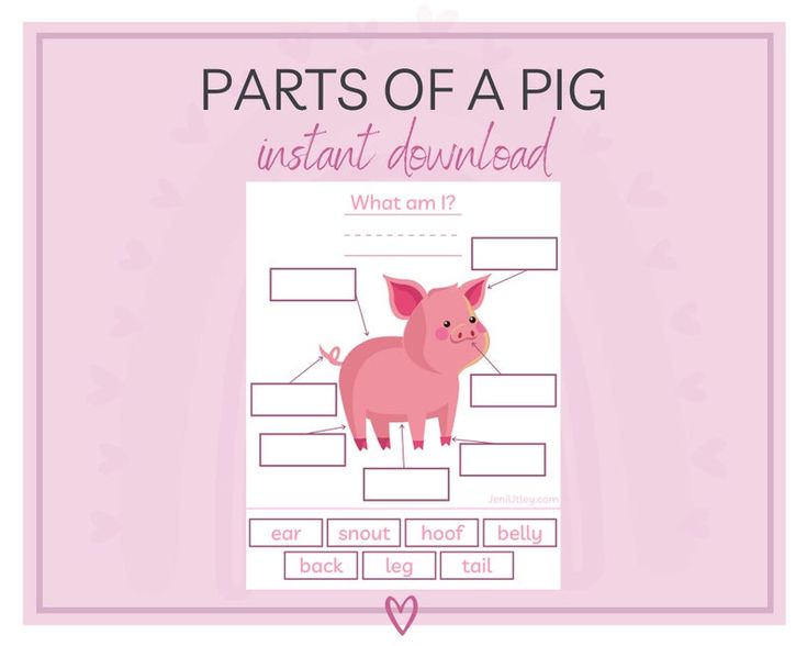 the parts of a pig worksheet for kids to learn how to read it