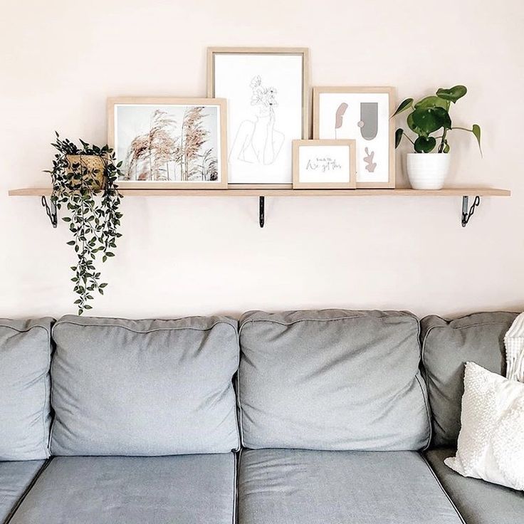 a living room with a couch and some pictures on the wall above it, along with two potted plants