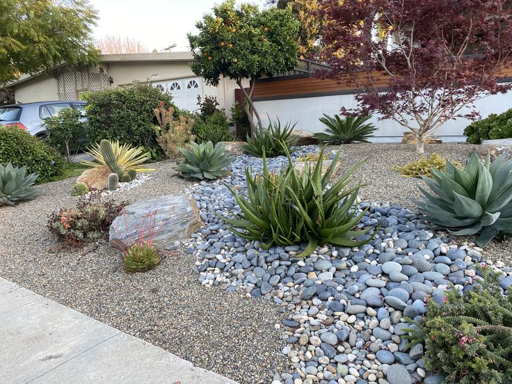 a garden with rocks and plants in front of a house