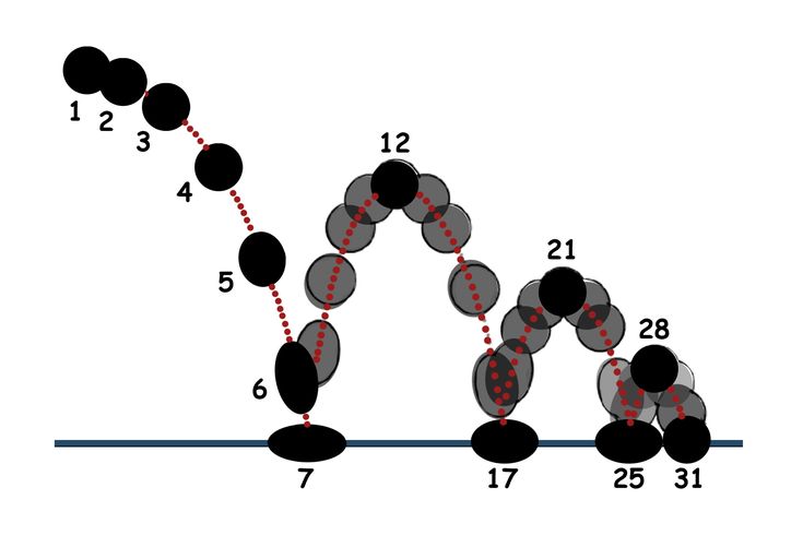 a line graph showing the number of balls in each team's play area, and how they are arranged