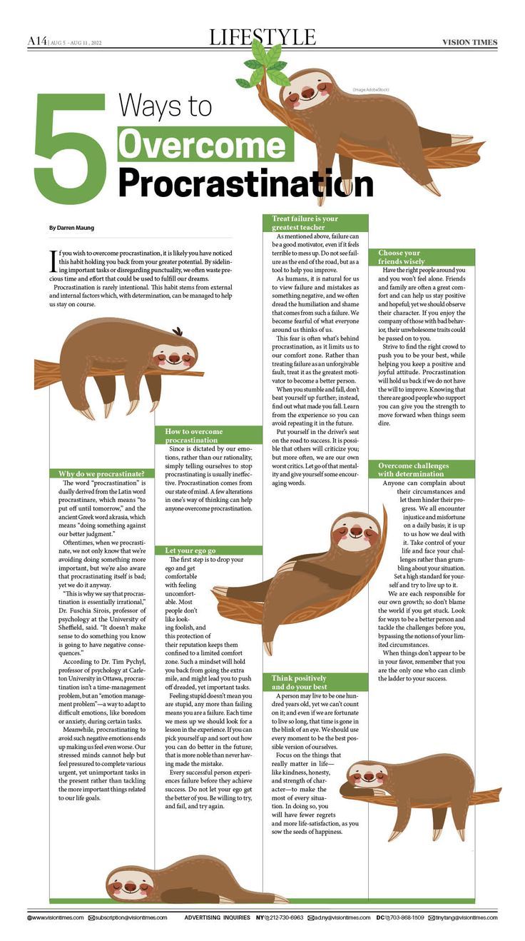 the five ways to overcome procrastination info sheet with sloths on it