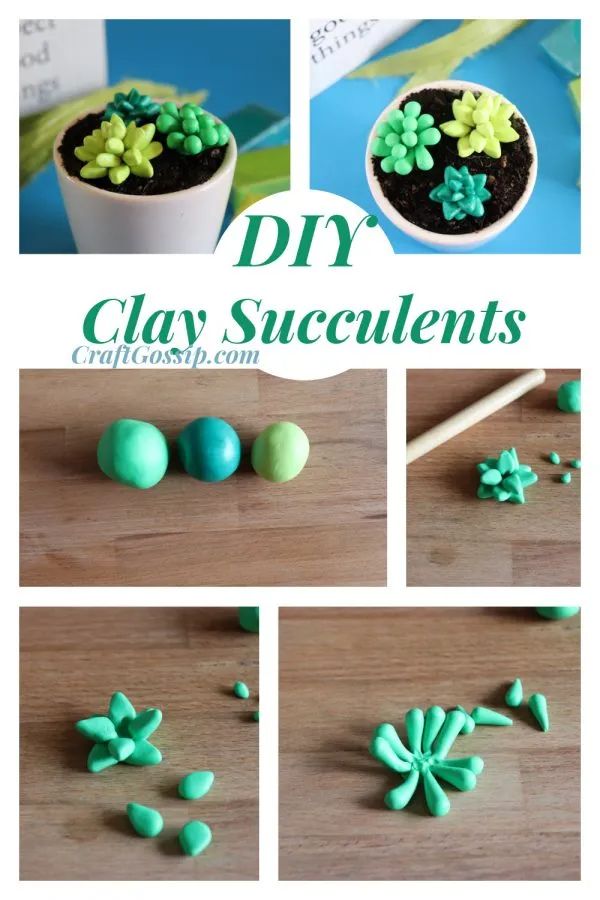 the instructions to make clay succulents for st patrick's day crafts