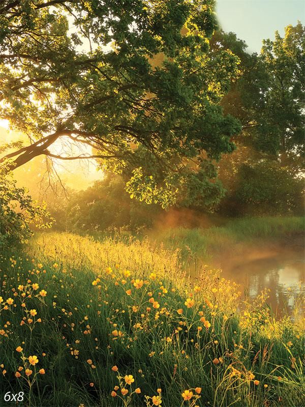 the sun shines brightly through the trees and grass near a river with wildflowers