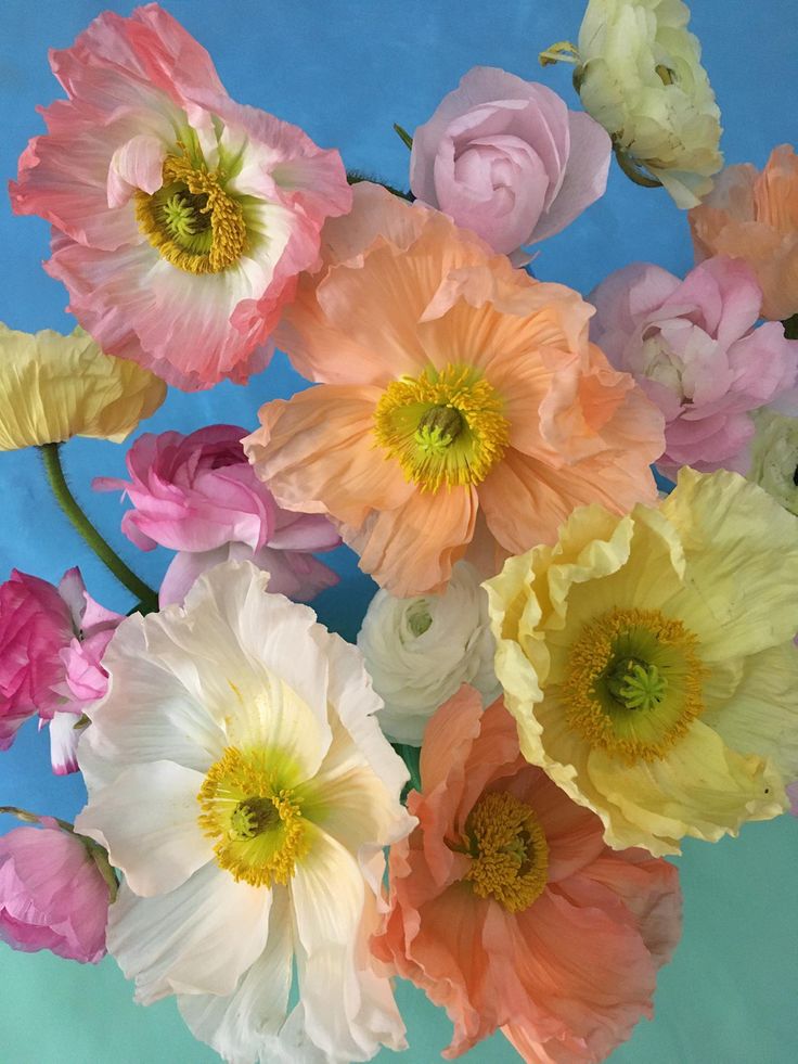 an arrangement of colorful flowers in a vase on a blue tablecloth with white and pink flowers